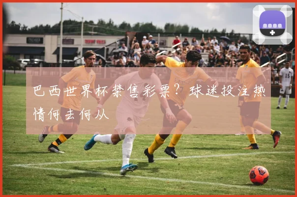 巴西世界杯禁售彩票？球迷投注热情何去何从